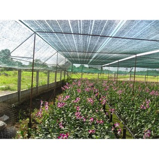 Lưới Che Nắng Khổ 2m x 5m