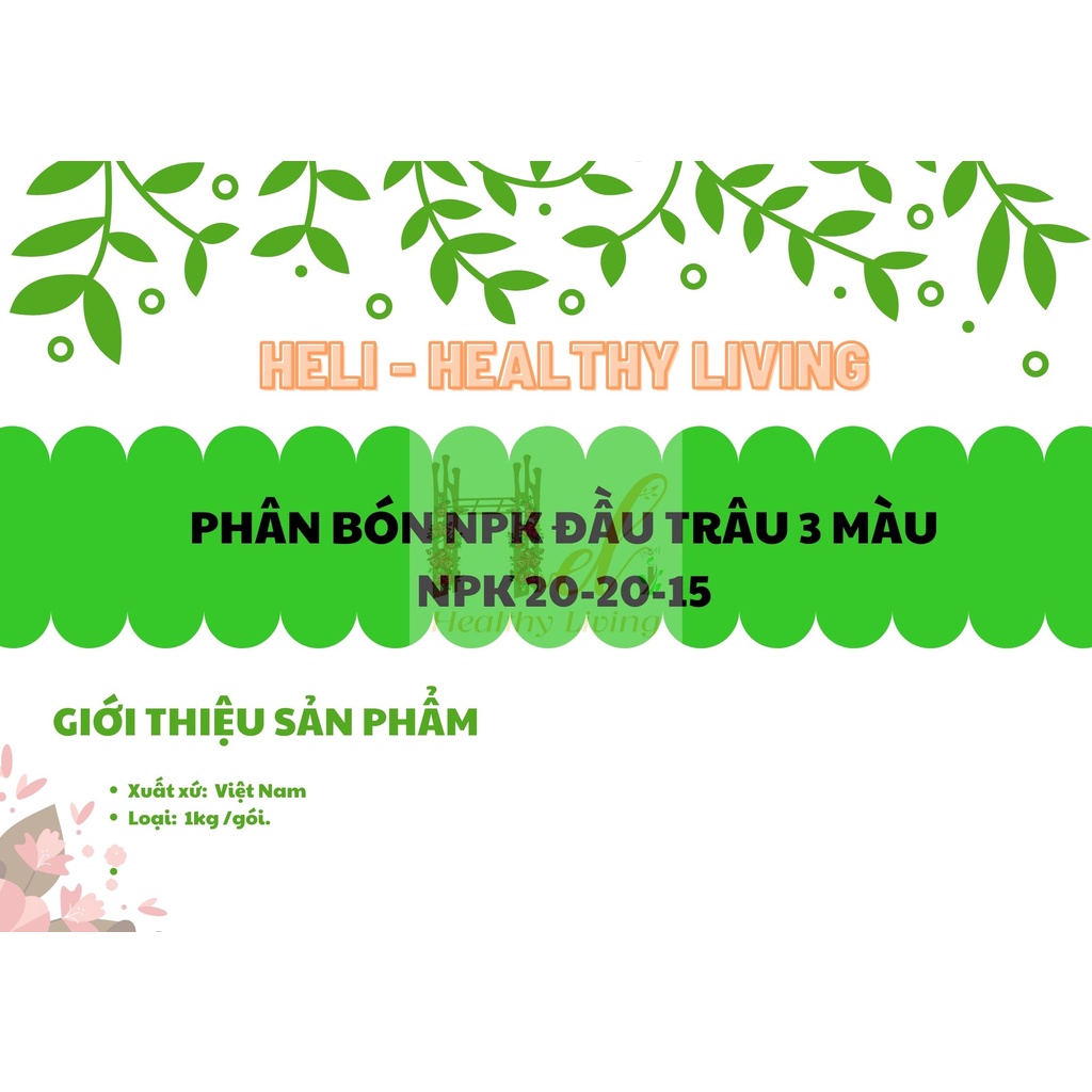 Phân Bón Đầu Trâu NPK 20-20-15 Bình Điền Giúp Chồi Lá Khỏe, Cây Ra Hoa Nhiều, Hoa Đẹp, Lâu Tàn