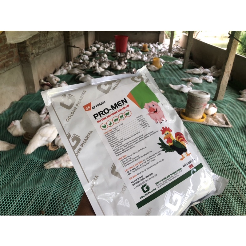 Men sống cao cấp cho vật nuôi  men sống chịu kháng sinh.