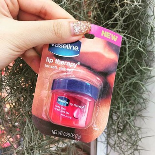 Sỉ 10 dưỡng môi Vaseline
