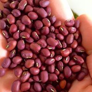 [Cao Cấp] 1kg Trà thảo mộc chữa mất ngủ Bin Bin