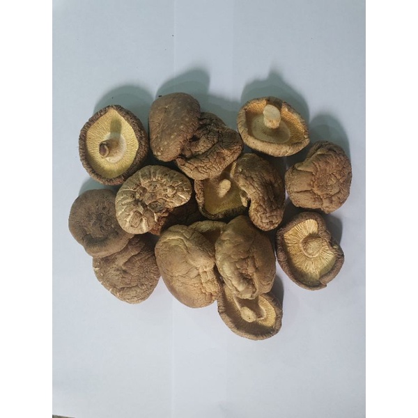 Nấm đông cô khô, dày, sáng da, trắng, đẹp 👉 Giàu đạm thực vật 👉 Chay, Mặn đều nên dùng