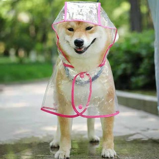 Áo mưa cho chó Không thấm nước Quần thú cưng Cỡ lớn và vừa Samoyed Golden Retriever nhỏ Teddy Bichon trong suốt