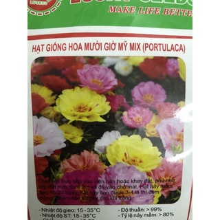 Hạt giống hoa mười giờ Mix 💐