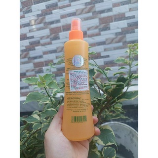 Xịt Dưỡng Tóc Everflor Cam 250ml