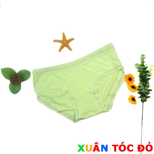 SỈ ZALO RẺ HƠN NHIỀU_ Quần Lót Cotton Rẻ Đẹp X01 | BigBuy360 - bigbuy360.vn