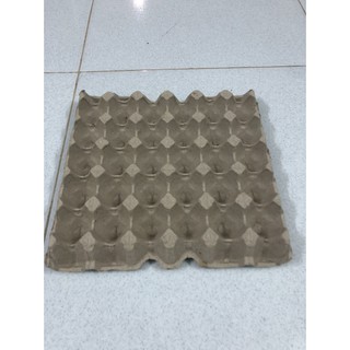Vĩ giấy trứng gà