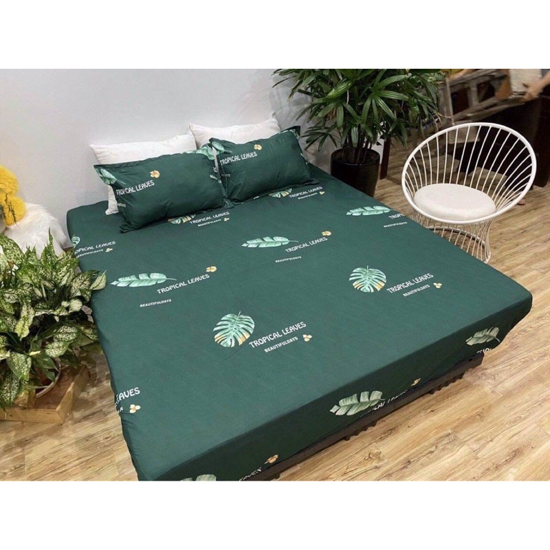 Ga giường May Hoàng minh cotton poly kích thước 1m2 1m6 1m8 2m2, drap chun bọc đệm + 2 vỏ gối