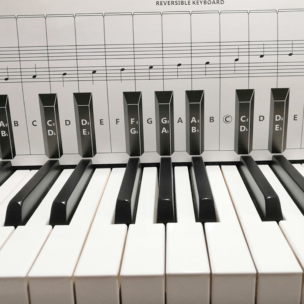 Bộ 88 Dụng Cụ Học Phím Đàn Piano Cho Người Mới Bắt Đầu