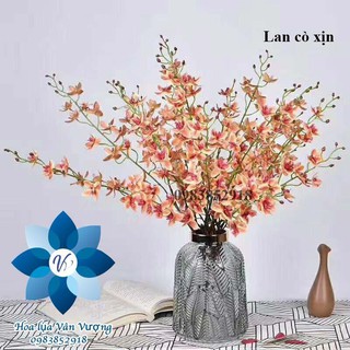 Hoa Lụa Để Bàn 🌺FREESHIP🌺 Hoa Lan Cò Cao Su