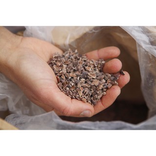 Cacao Ngòi CacaoMi 1kg