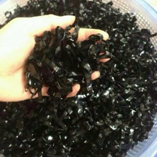 10 chiếc Chun buộc tóc đen