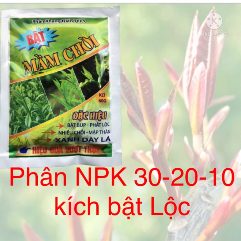 Phân NPK 30 -20 -10 + TE Bật  mầm  Chồi TC05 Chuyên Hoa Hồng, Cây Cảnh, Cây Ăn Quả, Rau màu