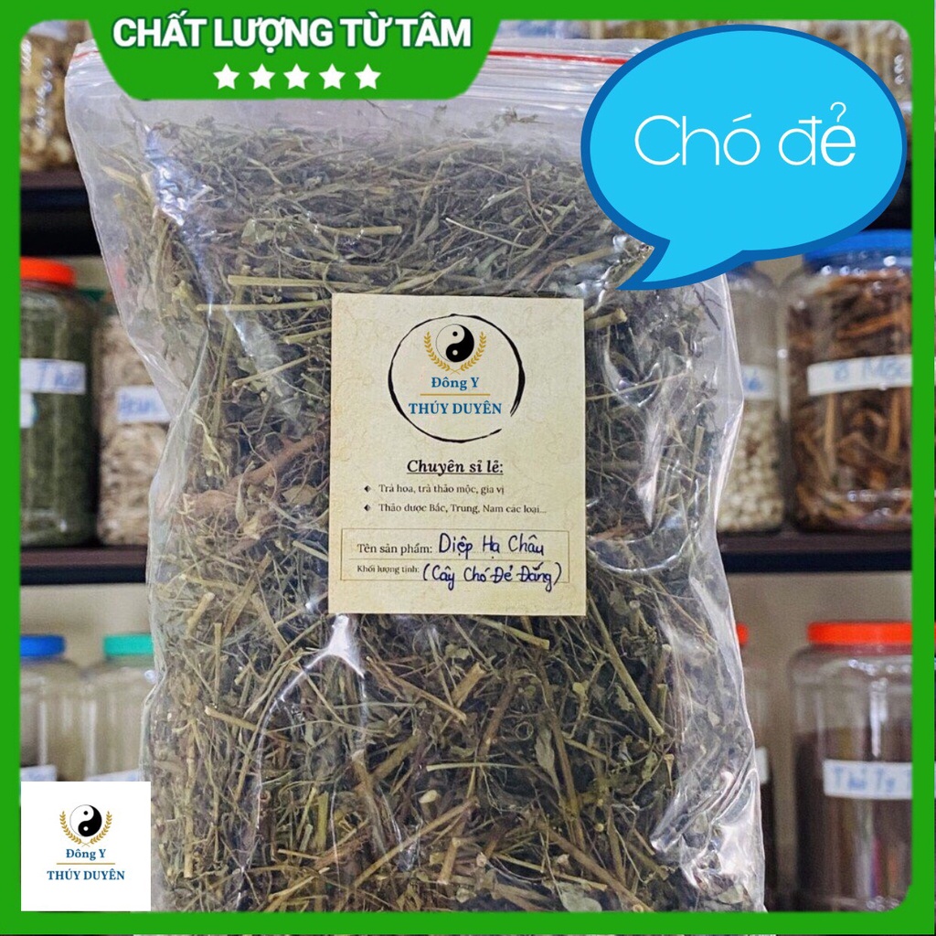 Cây Chó Đẻ 500g (Hàng chất lượng loại 1) - Diệp Hạ Châu