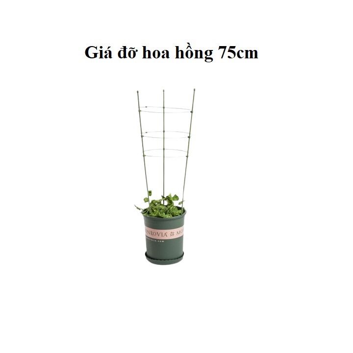 Giá đỡ hoa hồng, hoa leo đa năng kích thước cao 75cm