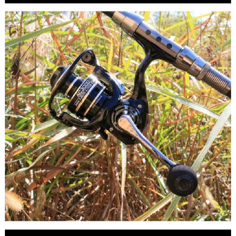 Máy câu cá Deukio AC, Máy câu lure, Máy cao cấp