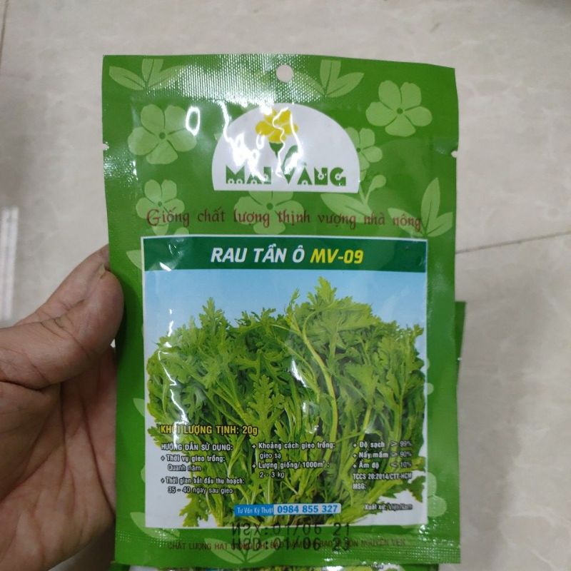 Hạt giống Rau Tần Ô