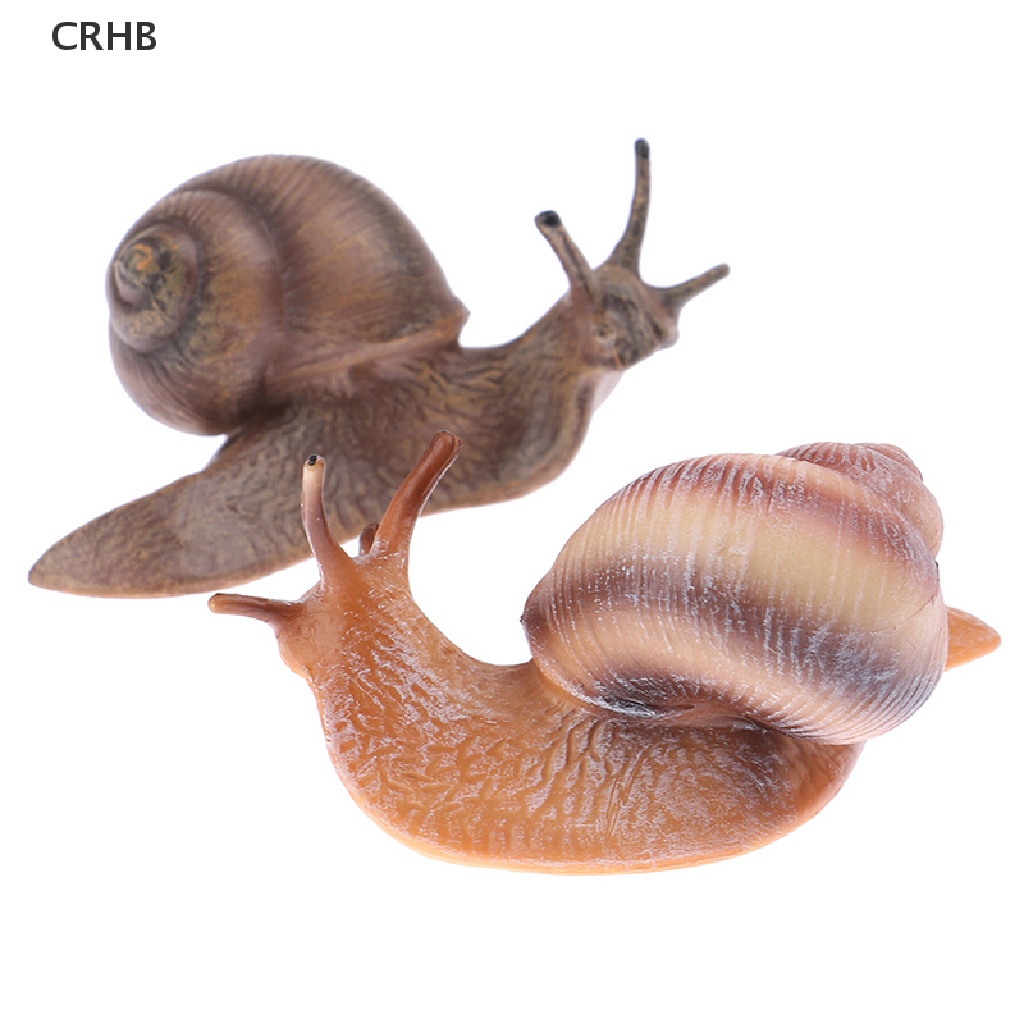 Crhb Đồ trang trí Côn Trùng mini Hình Động Vật / Ốc Sên Tăng Trưởng Chu Kỳ Mới