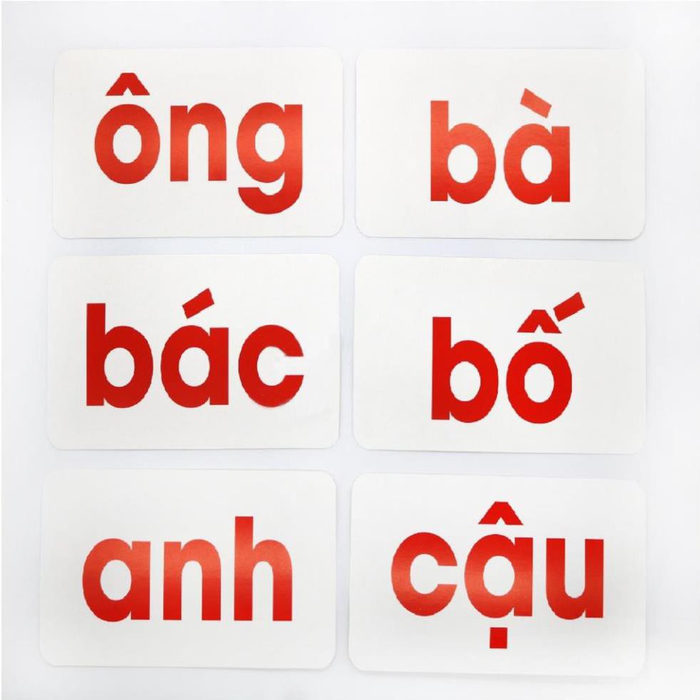 Thẻ Dạy Bé Học Đọc Thẻ Học Thông Minh GDKids Flashcard Học Chữ Chuẩn Glenn doman Bộ Cơ Bản