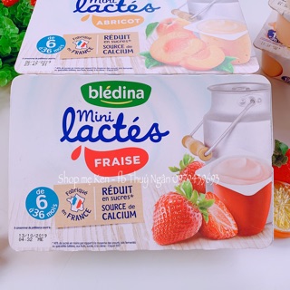 🍓SỮA CHUA BLEDINA PHÁP