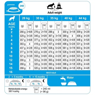 [4kg] ROYAL CANIN MAXI PUPPY