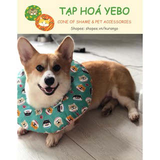 Vòng cổ chống liếm (size L)