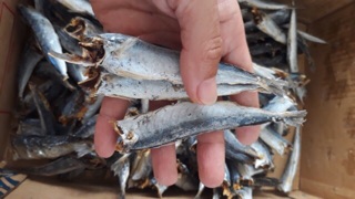 [500gr] Cá Nục Khô bỏ đầu