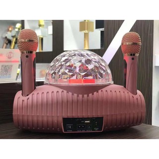 Loa hát karaoke bluetooth SPRD SD-308