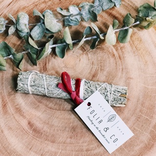 Bó xông xô xanh kích hoạt may mắn tài lộc | California Blue Sage Smudge Bundle size 4 inches by FOLIA & Co.