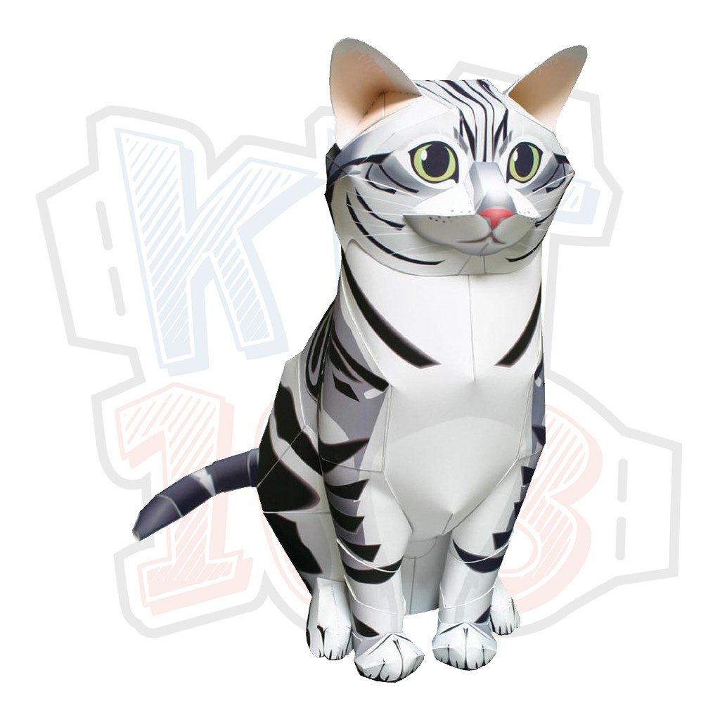 Mô hình giấy động vật Mèo Mỹ lông ngắn