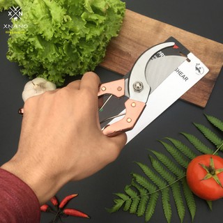 Thuốc nhuộm tóc TÍM KHÓI