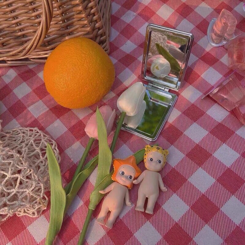 Hoa Tulip Loại Bông Lớn Nhiều Màu Siêu Xinh.