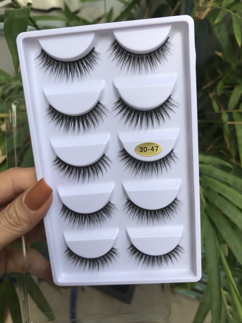 Mi chồn 5 cặp