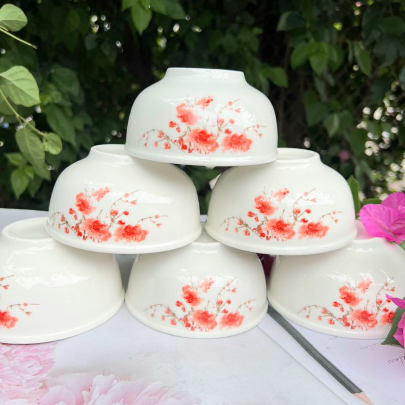Combo bộ 10 chén ăn cơm hoạ tiết hoa anh đào- Chén sứ- bát ăn cơm