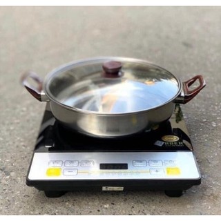 BẾP TỪ ĐƠN ARBER AB300