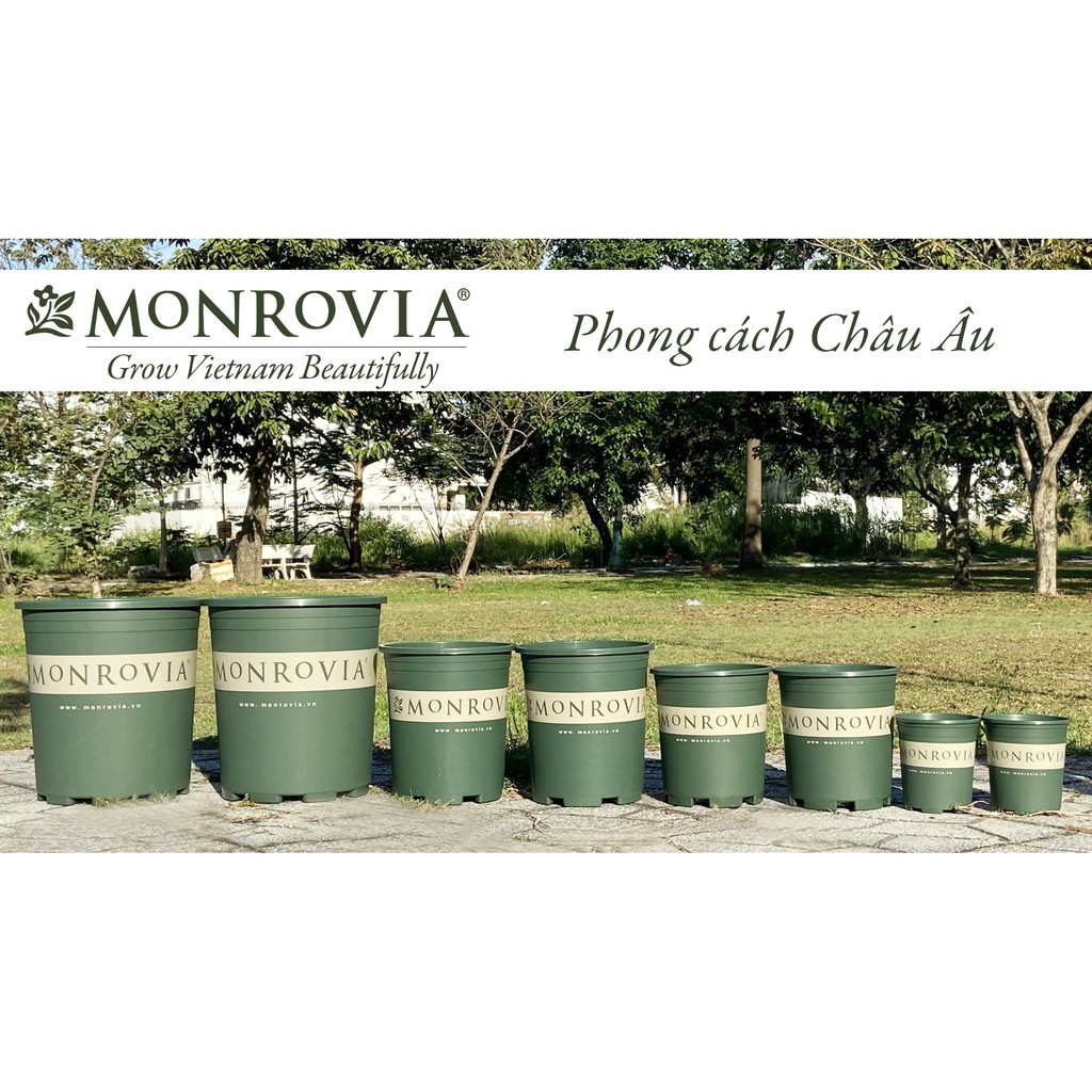 Combo 3 Chậu nhựa trồng cây MONROVIA 7 Gallon, chậu trồng cây để bàn, ban công, ngoài trời, sân vườn, tiêu chuẩn Châu Âu