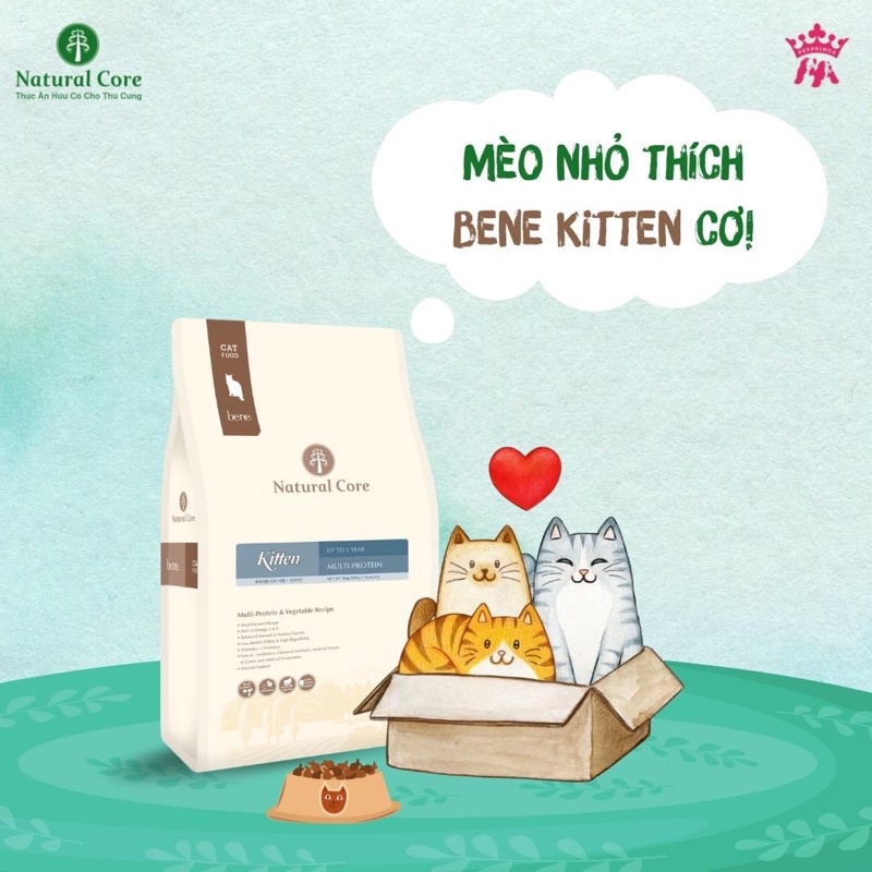 Thức ăn hạt cho mèo con Natural Core Kitten 400g