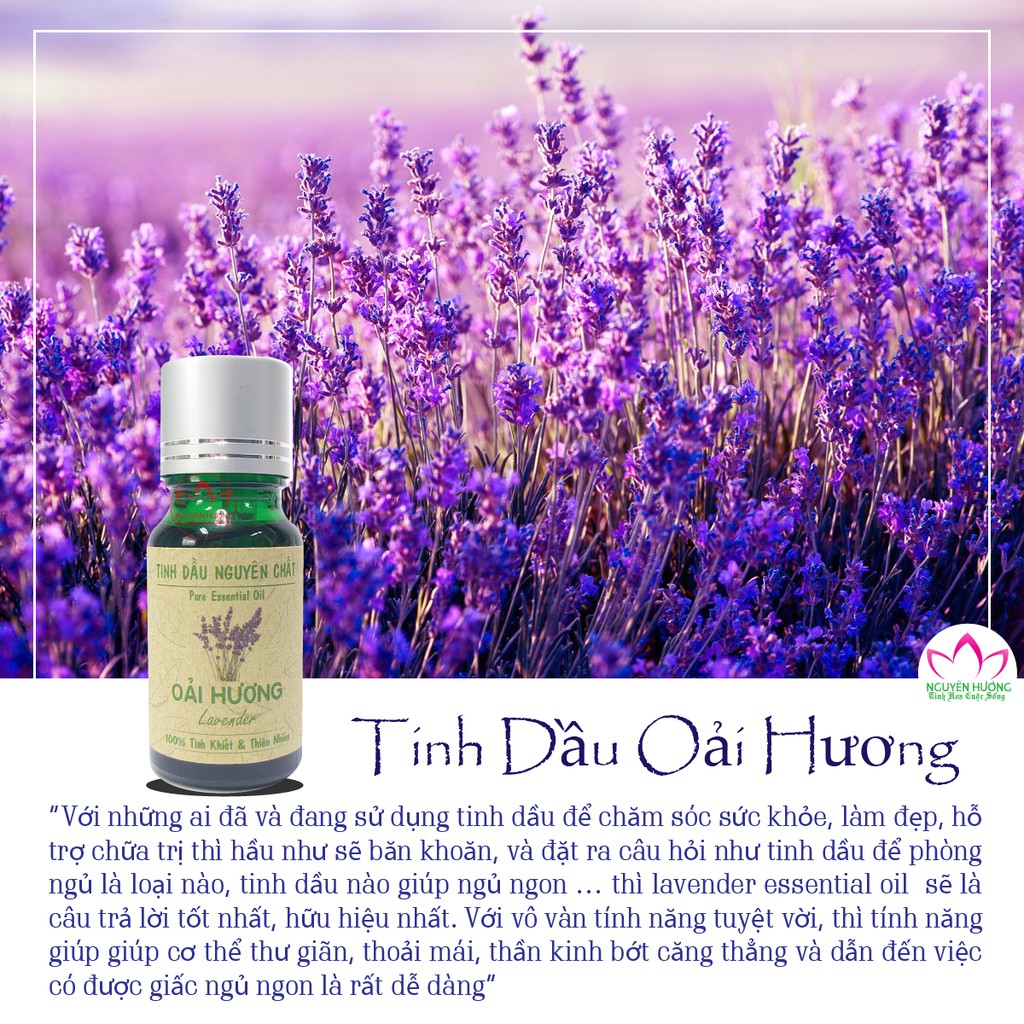 [COMBO] Tinh dầu oải hương lavender nguyen chất giúp dưỡng da, trị mụn, massage, khử mùi hôi hiệu quả (Lọ 10ml)