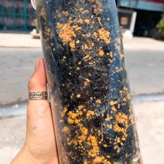 Rong biển cháy tỏi