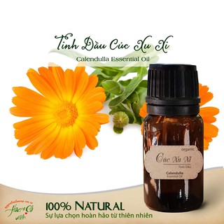 Tinh Dầu Cúc Xuxi Hữu Cơ ( Organic Calendulla Essential Oil )