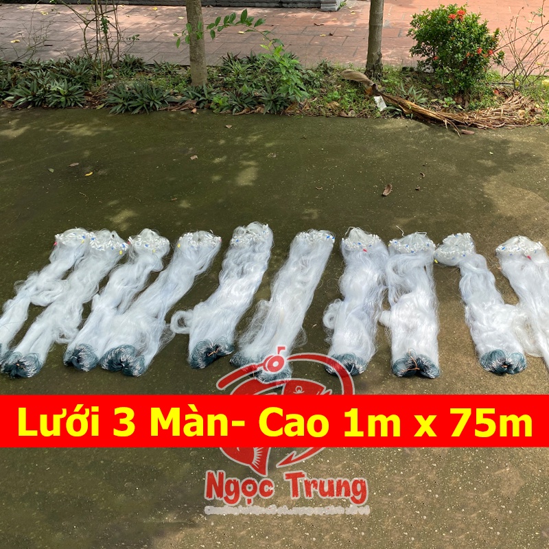 Lưới Đánh Cá, Bắt Cá 3 Màn - Cao 1m Dài 75m Mắt Lưới Then 4(8cm)