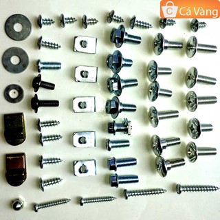 Ốc bắt bộ nhựa xe Wa