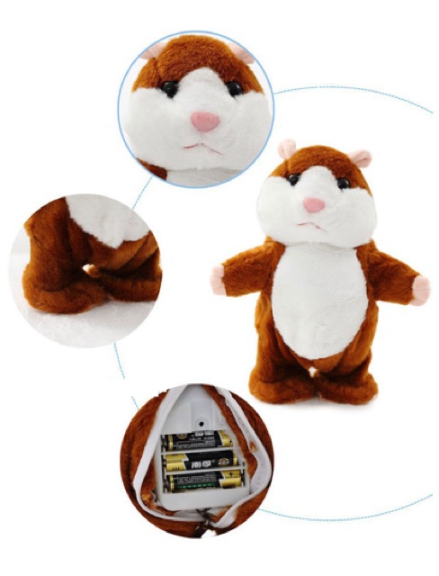 Chuột hamster biết nói