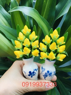 Chậu hoa đất sét cao 13 cm nhiều mẫu( 1 cặp 2 chậu )