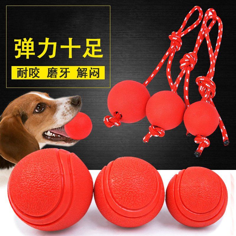 BÓNG CAO SU ĐẶC ĐÍNH DÂY THỪNG CHO THÚ CƯNG