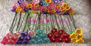 SỈ HOA DÂU TÂY