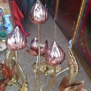 Hoa sen thờ đồng bó 15 bông