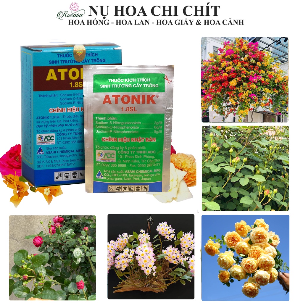 Thuốc kích rễ atonik cho cây, phân bón lá kích thích sinh trưởng cực mạnh lan, hoa hồng, giấy, sen đá