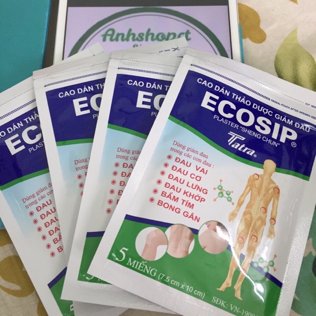 Cao dán thảo dược Ecosip