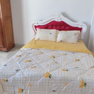 Bộ chăn ga 4 món cotton 3D hàng nhập
